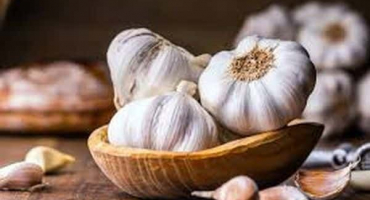 Popis odrůdy česneku poblíž moskvy, její vlastnosti a výnos