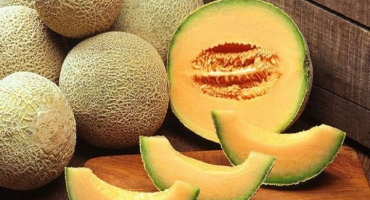 Popis odrůdy melounu altai, vlastnosti pěstování a péče