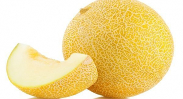 Popis odrůdy medového melounu, doporučení pro pěstování a péči