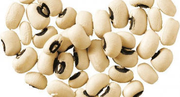 Popis odrůdy fazole černého oka, vlastnosti pěstování a výnos