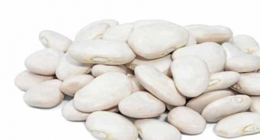 Popis odrůdy fazole lima, vlastnosti pěstování a péče