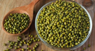 Popis odrůdy hrachu mungo, užitečné a škodlivé vlastnosti