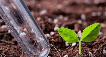 Popis odrůdy cuketového válečku, vlastnosti pěstování a péče