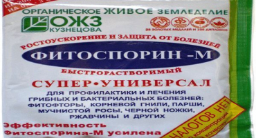 Popis odrůdy brambor impala, vlastnosti pěstování a péče