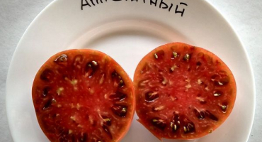 Popis chutné odrůdy rajčat a jejích vlastností