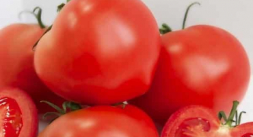 Popis odrůdy rajčat azov, doporučení pro pěstování a péči