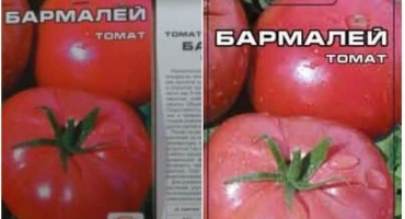 Popis odrůdy rajčat barmaley, její pěstování a péče