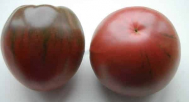 Popis odrůdy deliria z rajčat černého srdce, vlastnosti pěstování a péče