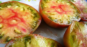 Popis odrůdy rajčatového černého ananasu a kultivačních funkcí