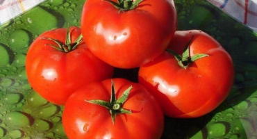 Popis odrůdy rajčat a její vlastnosti
