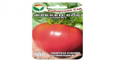 Popis odrůdy freken bok rajčat, doporučení pro pěstování a názory zahrádkářů