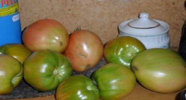 Popis odrůdy rajčat, její vlastnosti a produktivita