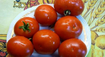 Popis odrůdy rajčat jaguár, pěstování a výnos