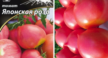 Popis odrůdy rajčat japonské růže a její vlastnosti