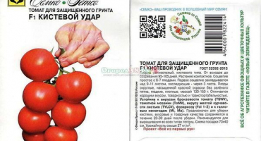 Popis odrůdy rajčat carpal blow, její vlastnosti a pěstování