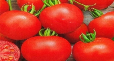 Popis odrůdy rajčat klepa, vlastnosti pěstování a péče