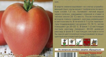 Popis odrůdy rajčete prince, její vlastnosti a pěstování