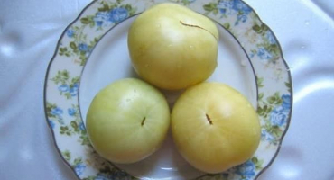 Popis odrůdy rajčat creme brulee, vlastnosti pěstování a péče