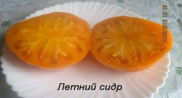 Popis letního moštu odrůdy rajčat, pěstování a péče