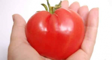Popis odrůdy rajčat německá červená jahoda, její vlastnosti a produktivita