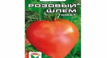 Popis odrůdy rajčatově růžové helmy, její vlastnosti