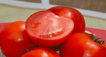 Popis odrůdy rajčat f1, pěstitelské vlastnosti a výnos