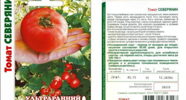 Popis odrůdy rajčat northerner a její vlastnosti