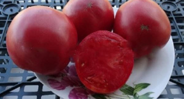 Popis odrůdy rajčat sibiřského jablka, charakteristik a produktivity