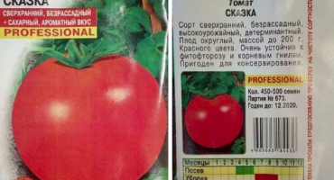 Popis pohádky odrůdy rajčat a její charakteristiky