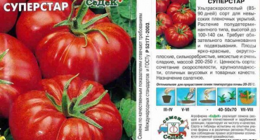 Popis odrůdy rajčat superstar a jejích vlastností