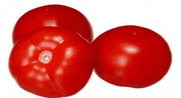 Popis odrůd rajčat tmag 666 f1, charakteristika a způsoby pěstování