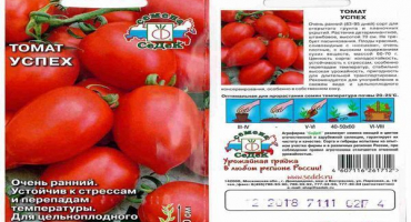 Popis úspěšnosti odrůd rajčat, vlastnosti a doporučení pro pěstování