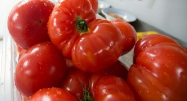 Popis odrůdy rajčat vova putin a její vlastnosti