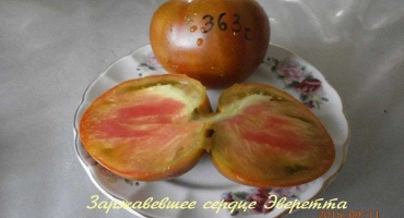 Popis odrůdy rajčat rusty everett heart a její vlastnosti