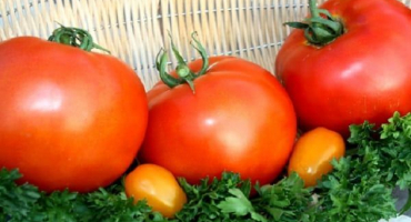 Popis odrůdy tučných rajčat, jejich výsadba a péče