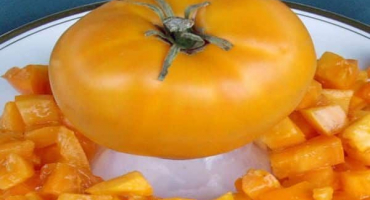 Popis odrůdy rajčatového zlaceného belyash a jeho vlastností