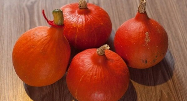 Popis odrůdy oříškové dýně, pěstování a péče