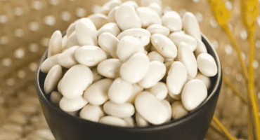 Popis odrůd bílých fazolí, užitečné a škodlivé vlastnosti, pěstování