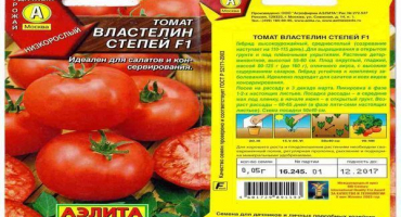 Popis odrůdy rajčat lord of the steppes a její vlastnosti
