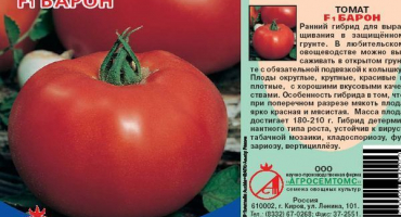 Popis odrůdy rajčat baron a její vlastnosti