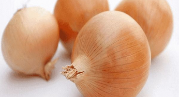 Popis, pěstování a péče o hybridní cibulovou odrůdu candy cibule