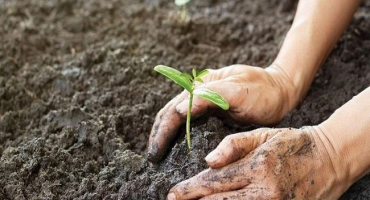 Hlavní opatření na ochranu půdy a jak ji racionálně využívat