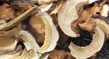 Hlavní jemnosti skladování hub