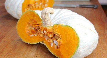 Vlastnosti a odrůdy bílé dýně