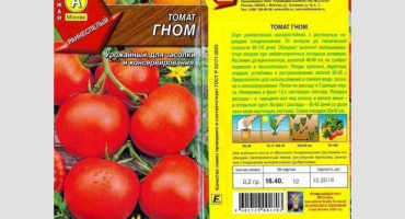 Vlastnosti výsadby a pěstování rajčete trpaslíka