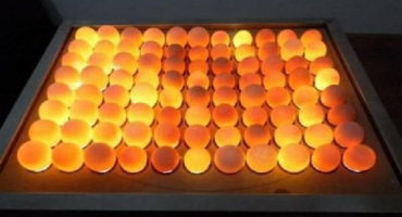 Vlastnosti postupu pro ovoskopii slepičích vajec ve dne