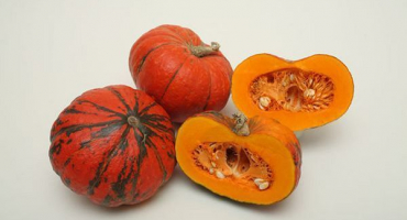 Vlastnosti dýňového mazlíčka a pravidla pro péči o odrůdu