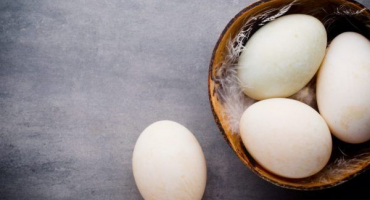 Vlastnosti kachních vajec