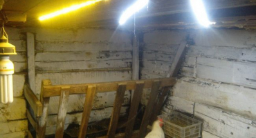 Osvětlení v kurníku v zimě nebo v noci