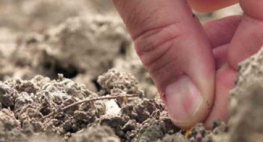 Rozdíl mezi písčitou hlínou a hlínou, jejich vlastnosti a jakou půdu si vybrat
